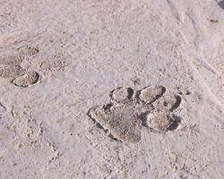 "45 Frames Through Ms' Viewfinder" Virtual Exhibition